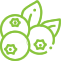 logo-img